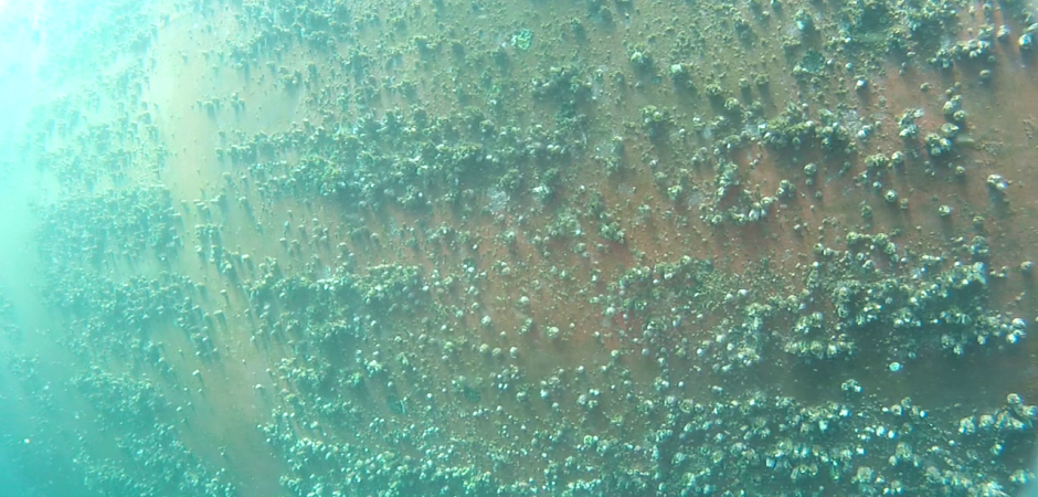 Underwater Hull Cleaning