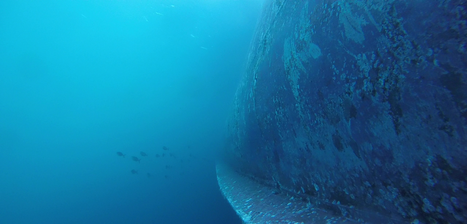 Underwater Hull Cleaning